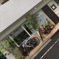 Lien - 