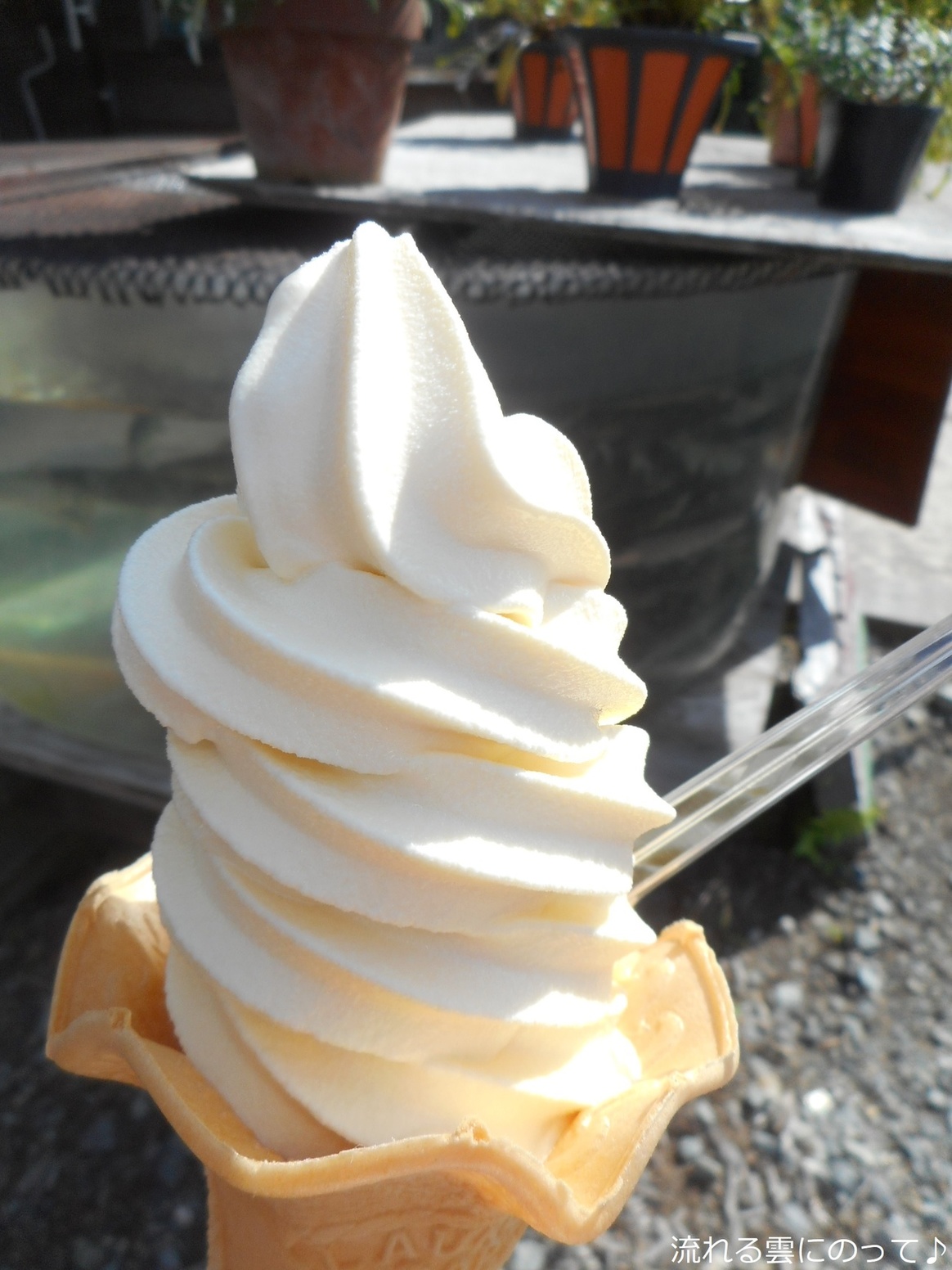 ロッヂ 八ヶ嶺 name=