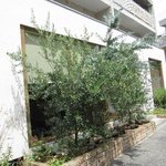 GPSですぐに到着しましたが、お店が判るまで、１０分ほど悩みました。　一番奥のお店が正解です。