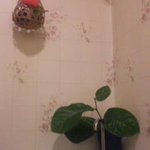 季節料理たぐち - トイレ