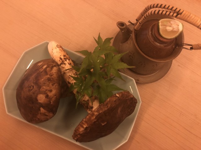 Hana Murasaki photo 3