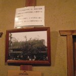 のらや - のらや国分寺の歴史