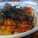 うなぎ料理 丑松 - まぶし上丼