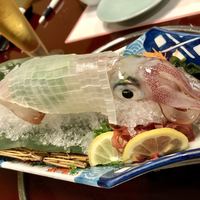 割烹 かじ 本店 - 