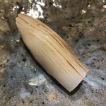 寿し おおはた - 