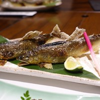 柳家錦 - 