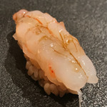 はっこく - 富山ボタン海老
       ・白海老昆布締め