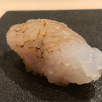 はっこく - 煽烏賊