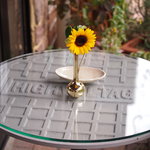 トゥ・ラ・ジョア - お迎え２