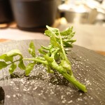 エノテカ パージナ - 