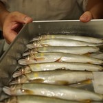 新ばし 笹田 - 天川と北山村 食べ比べ