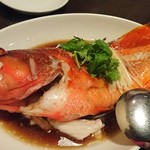 中国食酒坊 まつもと - くろむつ蒸し