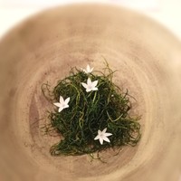 スブリム - 