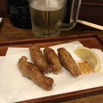 さか町 鳥光 - とり皮餃子