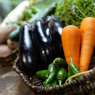 Plenty of Shugakuin vegetables grown in a blessed land with good drainage.