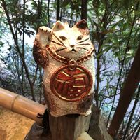 九つ井 本店 - 