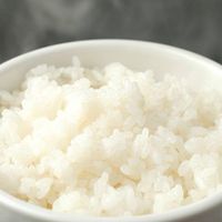 ライス　契約農家直送　新潟コシヒカリ