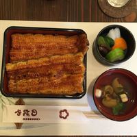 入谷鬼子母神門前のだや - 