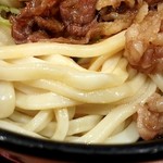 讃岐のおうどん 花は咲く - うどんのアップ