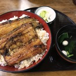 Hamamatsu - うなぎ丼「特」大盛り　2018.7.10