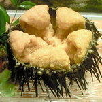 亀喜寿司 - ガゼウニ (殻付ムラサキウニ)