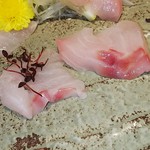 のどぐろ専門 銀座 中俣 - のどぐろお刺身（薄造り･厚切）