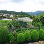 Kushigorou - 滋賀県湖南市にある自家菜園です☆