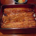 小川菊 - 特鰻重