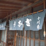 小川菊 - 小川菊（おがぎく）