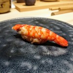 鮨 唐島 - 車海老