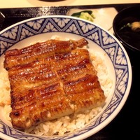 うなぎ 目白ぞろ芽 - 