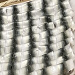 鮨 橋口 - きれいに処理された新子達