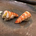 鮨 橋口 - 車海老
