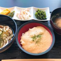 浅草むぎとろ 本店 - 