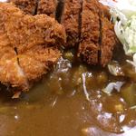 太田食堂 - 「ジャンボカツカレー」接写。家庭的なカレーに見える平凡な色合いなのだが、一口一口食する毎に、香辛料の刺激が口腔内に広がり、次第次第にその味わいに魅了されていく。