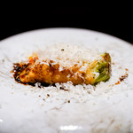 TACUBO - ズッキーニ