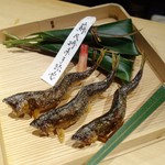 富小路 やま岸 - 