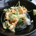 山水の技 - かきあげ天茶