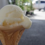 道の駅南国 風良里アイスクリームショップ - 