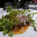 レフェルヴェソンス - 【海の神　山の神】◎2018/7