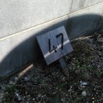 手造りうどん 楽々 - 