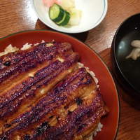 吉寅 - 