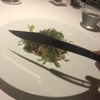 レフェルヴェソンス - 
