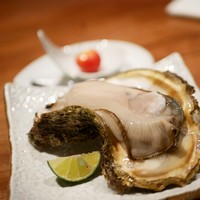 ミルカレス - 