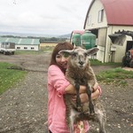 ラム肉バル 結 - 