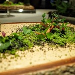 NARISAWA - ”里山の風景・森のエッセンス”