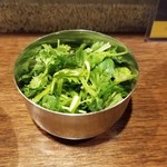 SPICY CURRY 魯珈 - パクチー