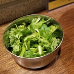 SPICY CURRY 魯珈 - パクチー