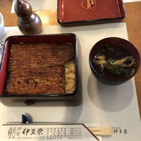 鰻割烹 伊豆栄 本店 - 