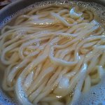 大盛釜揚げうどん